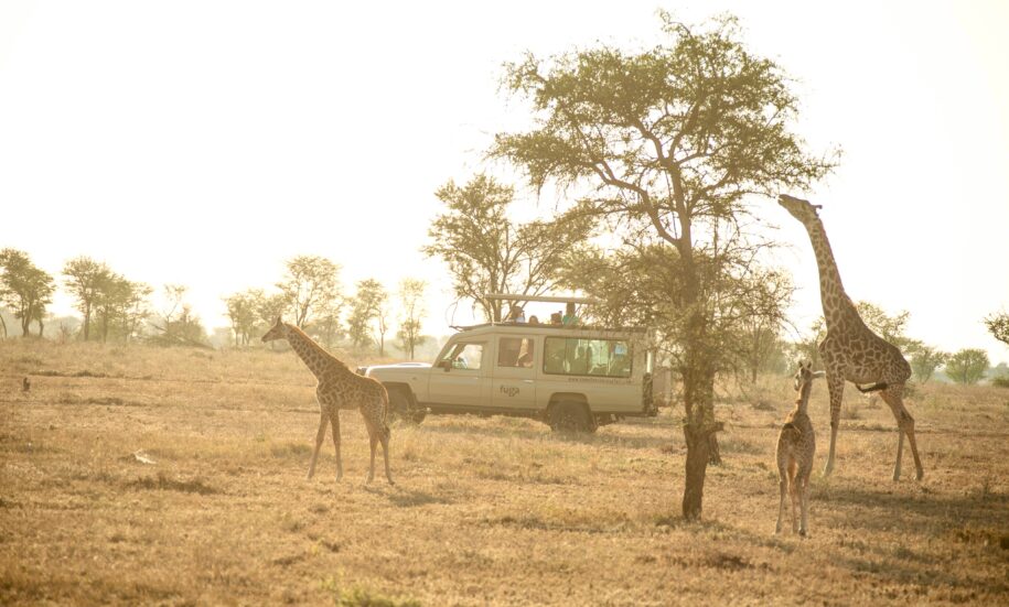 Tanzania