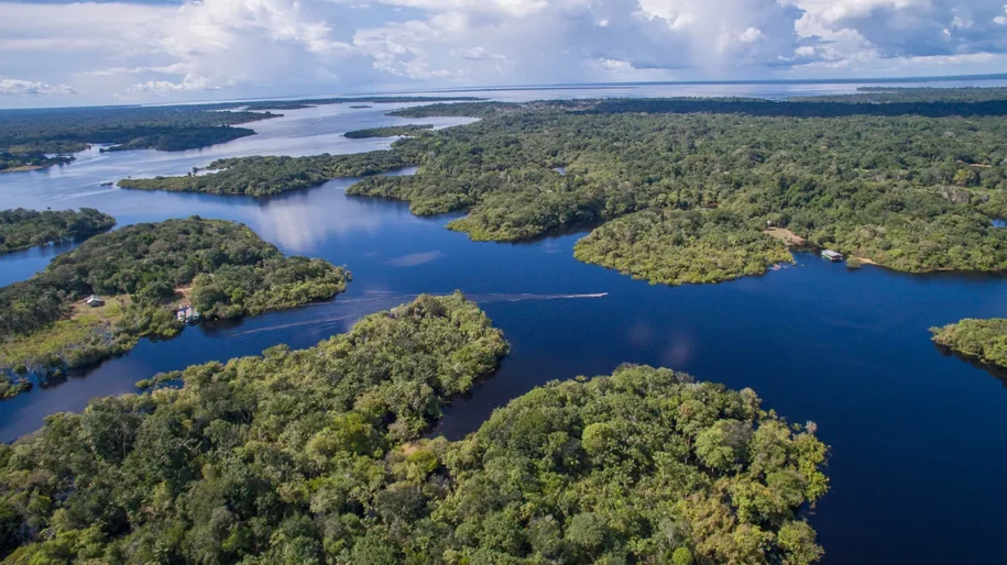 amazonia